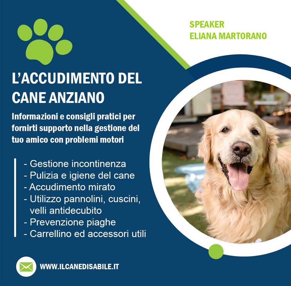 video-guida-il-mio-cane-e-anziano-il-cane-disabile